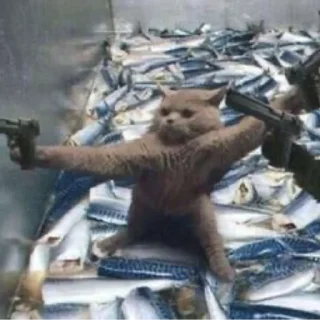 🔫