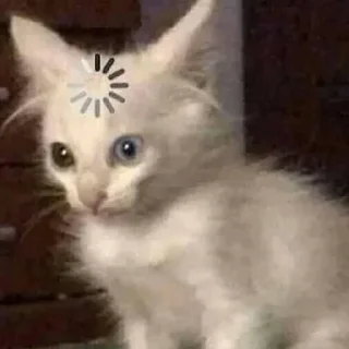 💒