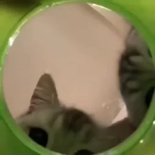 👀