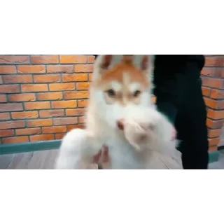 👍