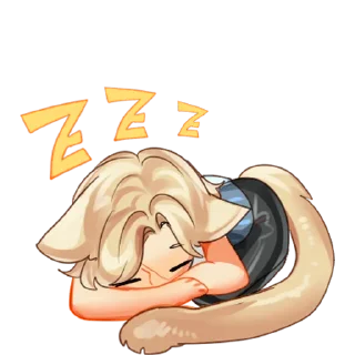 🛌