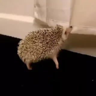 😠