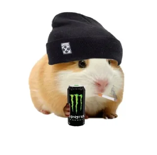 🐹