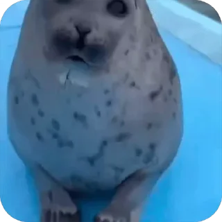 👍