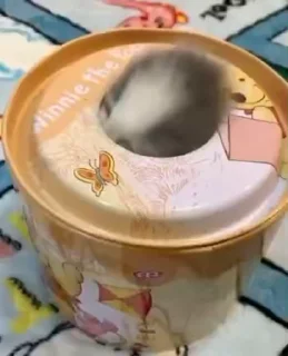 🤨