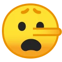 🤥