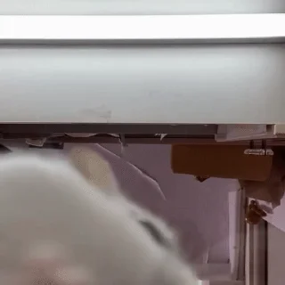 👀