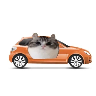 🚗