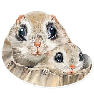 🐿