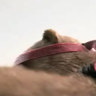 💥