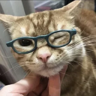😉