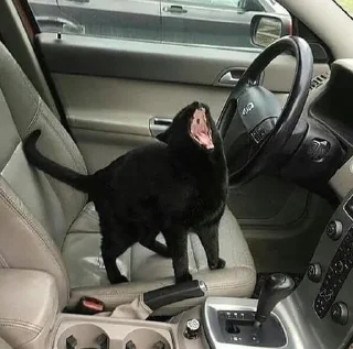 😠