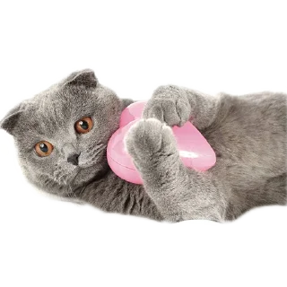 💖
