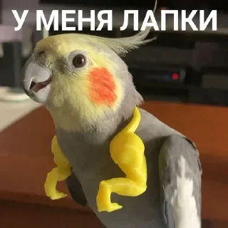 💅