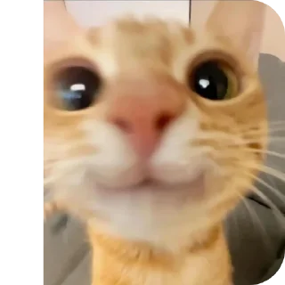 😍