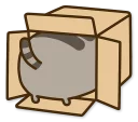 📦