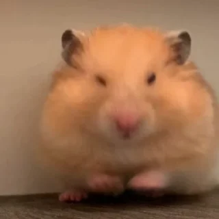 🥱