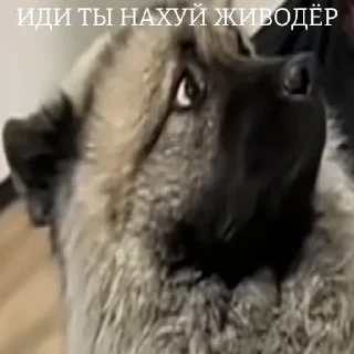 😎