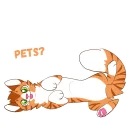 🐈