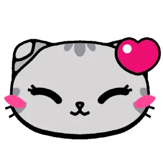 😻