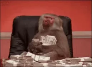 🐵