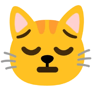 🤩