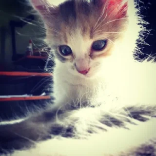 🙂