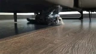 🛋