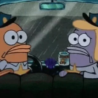 🧽
