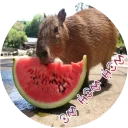 🍉