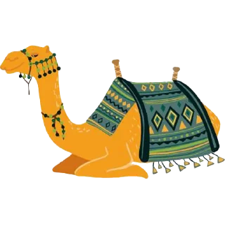 🐪