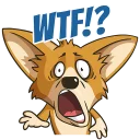 😱