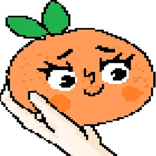 🍊