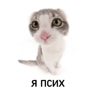 😕