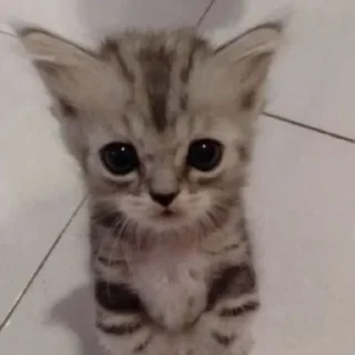 🤨