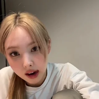🐰