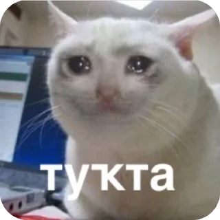 🫥