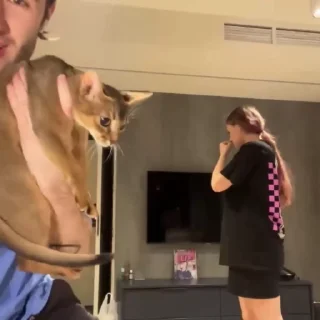 😃