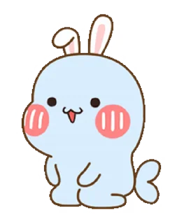 🐰