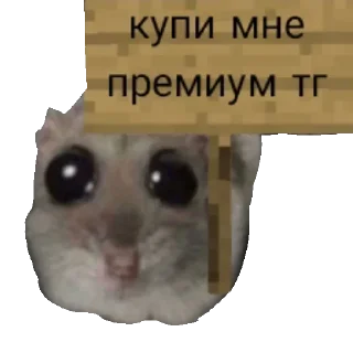 🙏