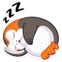 😴