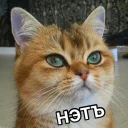 😐