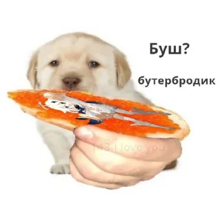 🥪