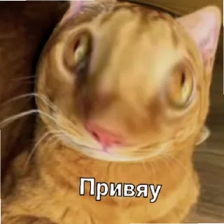 😄