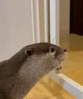 😕