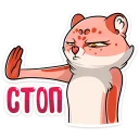 🤚