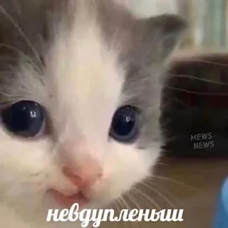 🥲