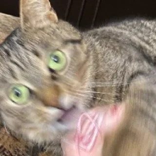 😵