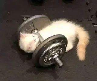 💪