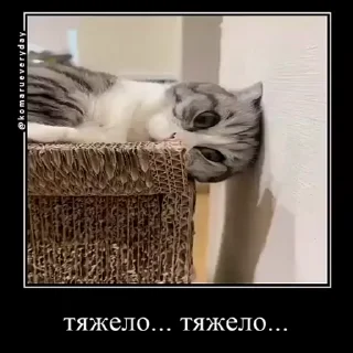 😞